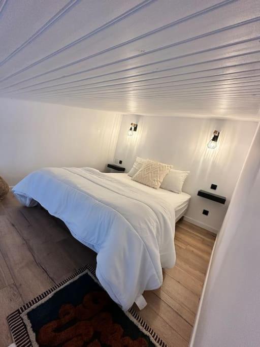 Duplex Lumineux Appartement Nantes