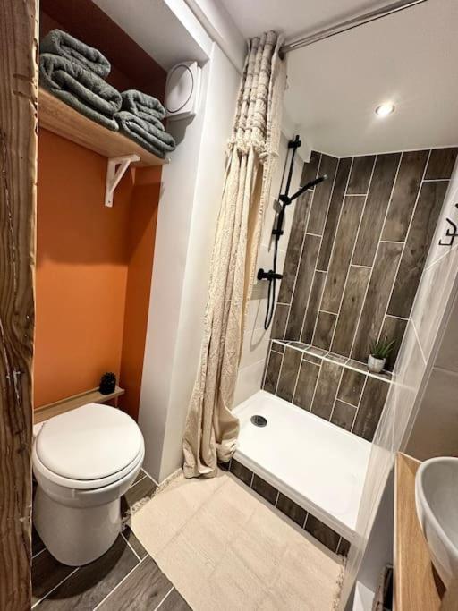Duplex Lumineux Appartement