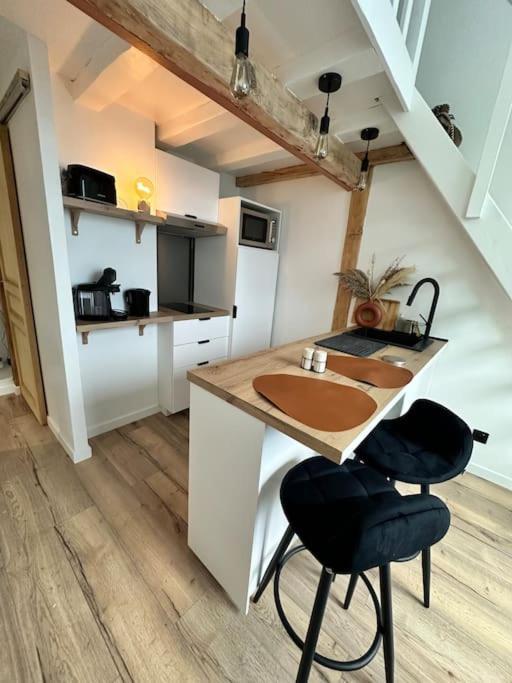 Duplex Lumineux Appartement Nantes